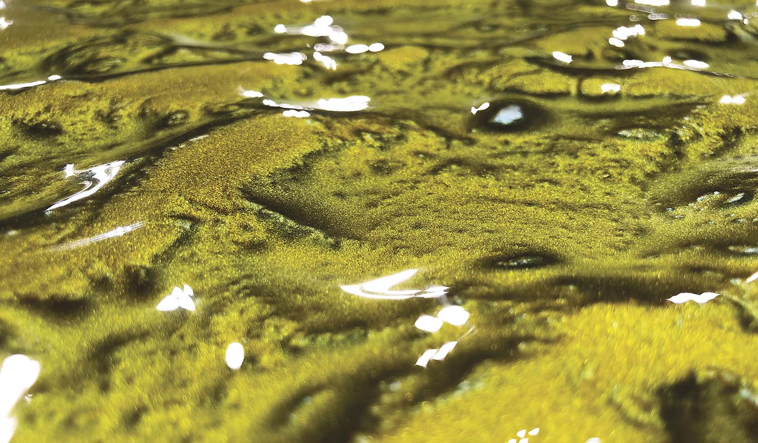 "Soccer Ball" public art installation - Фото №3
