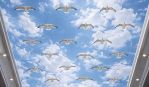 Кинетическая инсталляция «Чайки» от Skyform Studio — ряды белых птиц с расправленными крыльями подвешены на почти незаметных тросах под стеклянной крышей, на фоне яркого голубого неба с облаками.