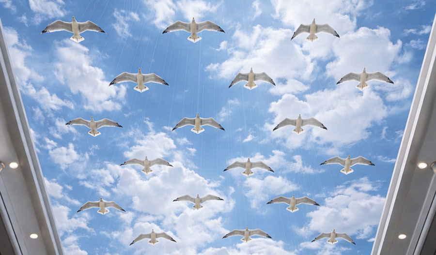 Skyform Studio-ның «Шағалалар» кинетикалық инсталляциясында ашық көк аспан мен бұлттардың аясында, шыны шатырдың астындағы көрінбейтін кабельдерге ілінген қанаттарын жайған ақ құстардың қатарлары бейнеленген.